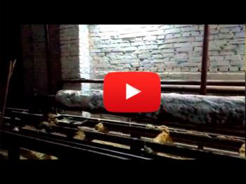 Производство оцилиндрованного бревна Челябинск Екатертнбург Уфа